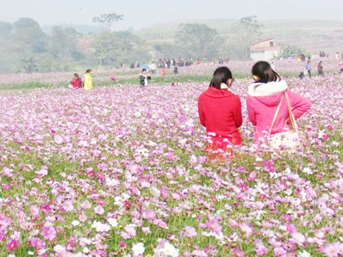 親子活動(dòng)樂(lè)園