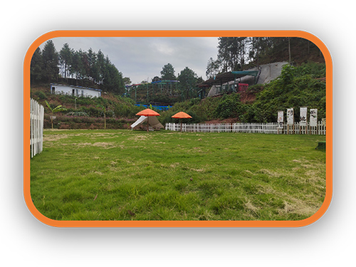 戶(hù)外活動(dòng)草坪