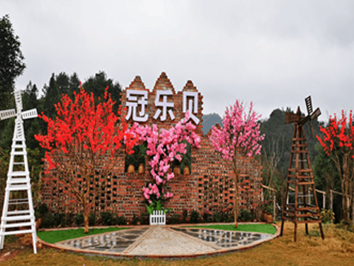 園區(qū)風(fēng)景